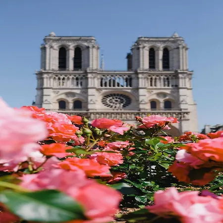 Cosy Appt - 1br 2p - Quartier Latin Apartamento *